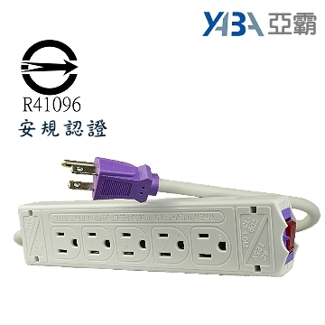 監視器材1米 10孔 延長線(正反兩面各五插座)(WR-SOCKET-10N)